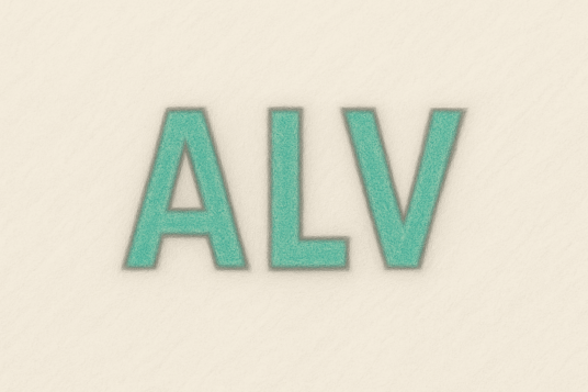 Algemene leden vergadering VvE